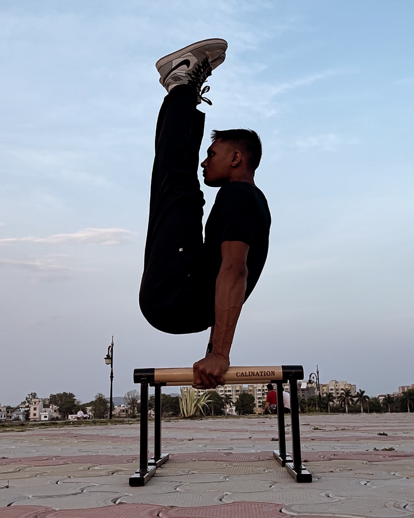 Professional Tier — Calisthenics Skill Progression